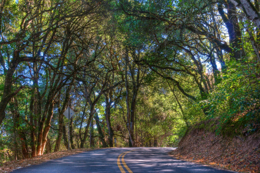 625298 (a): :2560x1700